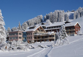 Ferien- und Familienhotel Alpina Adelboden